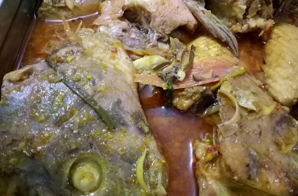 JAngan Remehkan Ikan ( JARI )